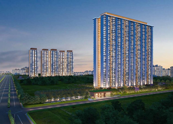 Tulip Melrose Sec 70